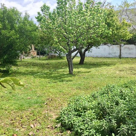 Salento Appartamenti Casalabate Luaran gambar