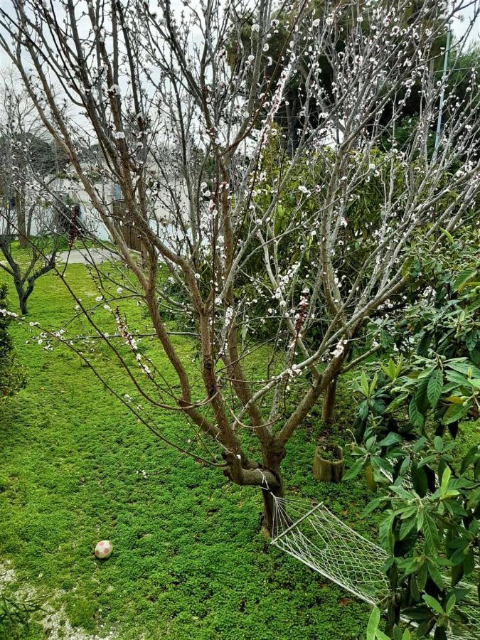 Salento Appartamenti Casalabate Luaran gambar