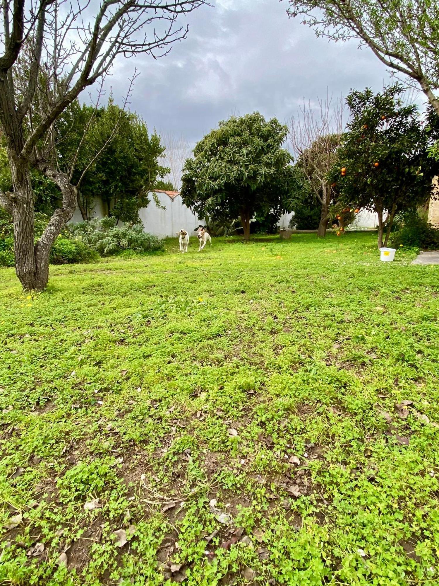 Salento Appartamenti Casalabate Luaran gambar