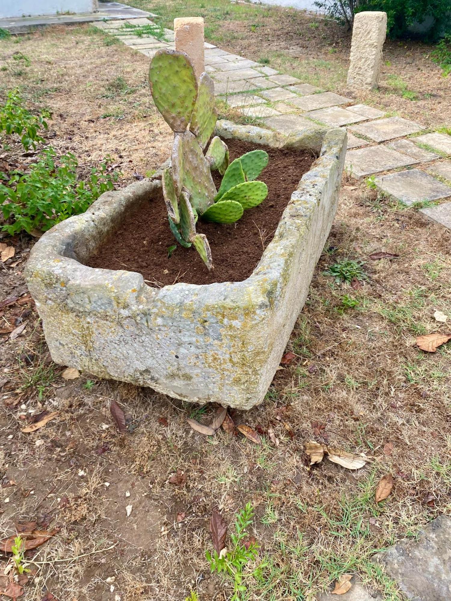 Salento Appartamenti Casalabate Luaran gambar