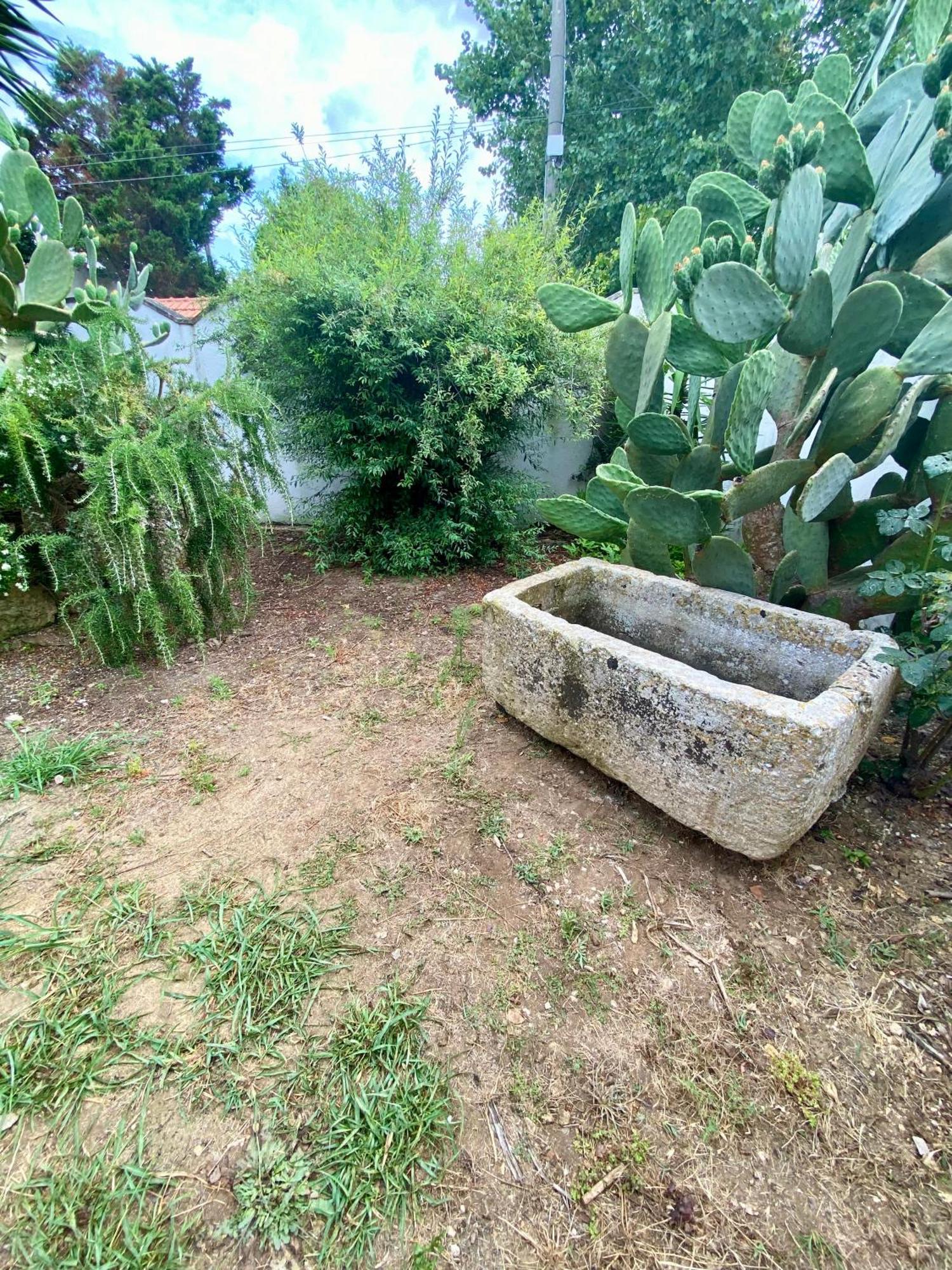 Salento Appartamenti Casalabate Luaran gambar